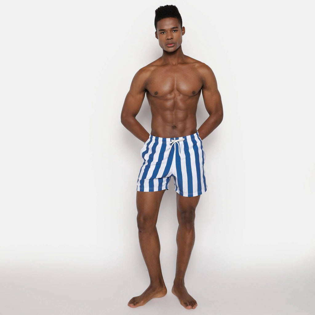 Palmees Blue Stripes Swim Short - Blue — Palmees — view 4 of 5