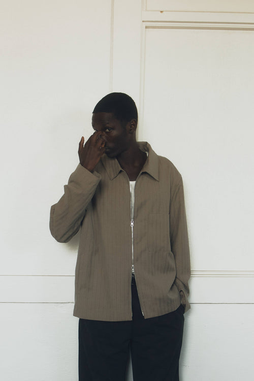 Common Market The Benjamin Jacket | Collared Zip-Up Pinstripe Jacket - Taupe — view 2 of 6